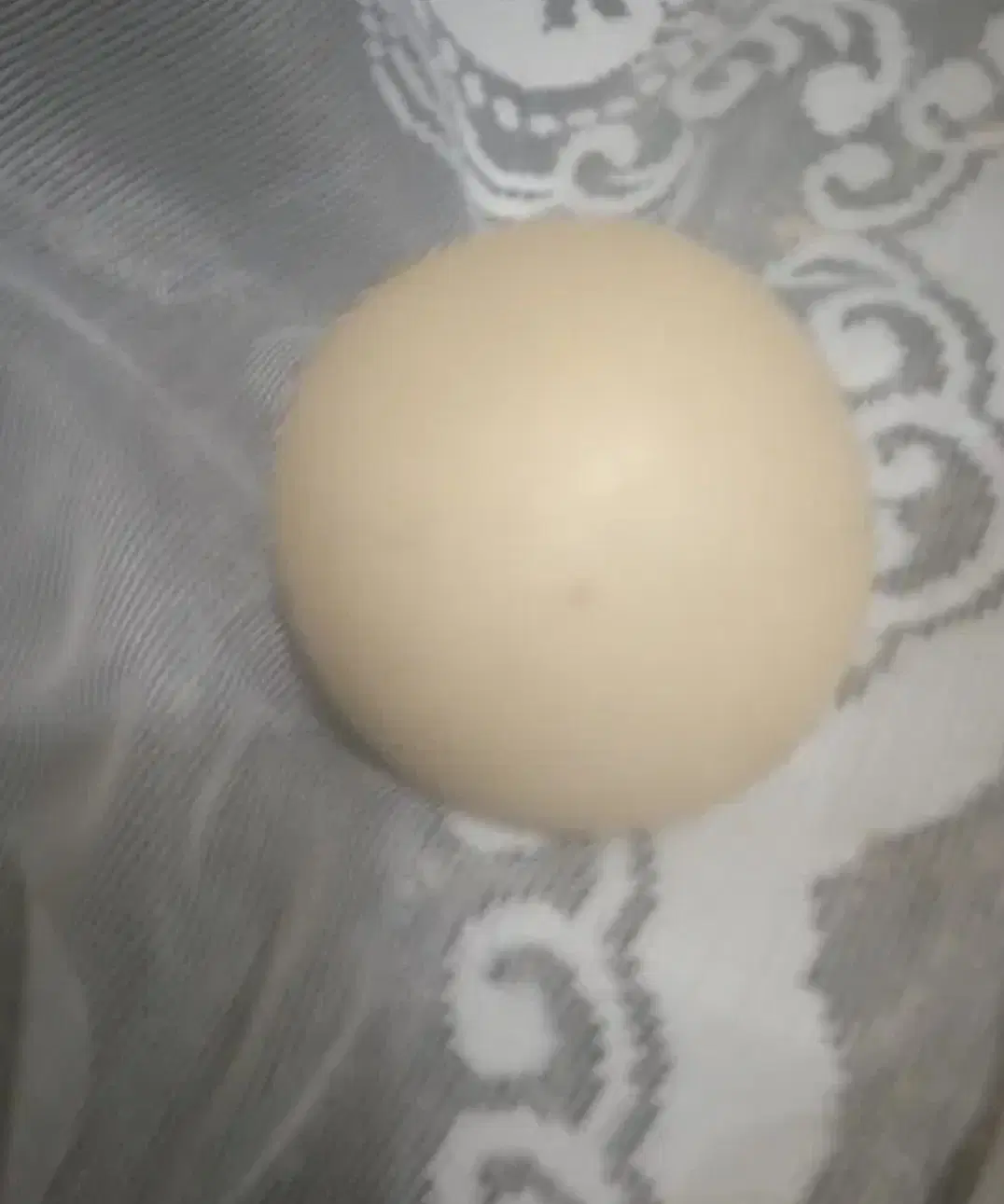 خانه کلنگی