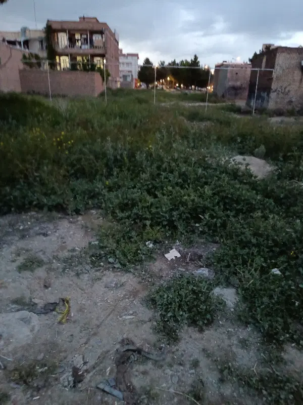 زمین مسکونی در روستای چیچک