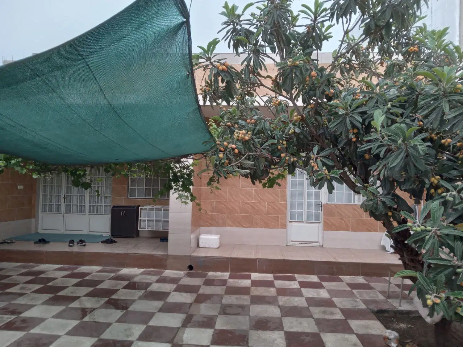 ویلایی شمالی دانشجو۴