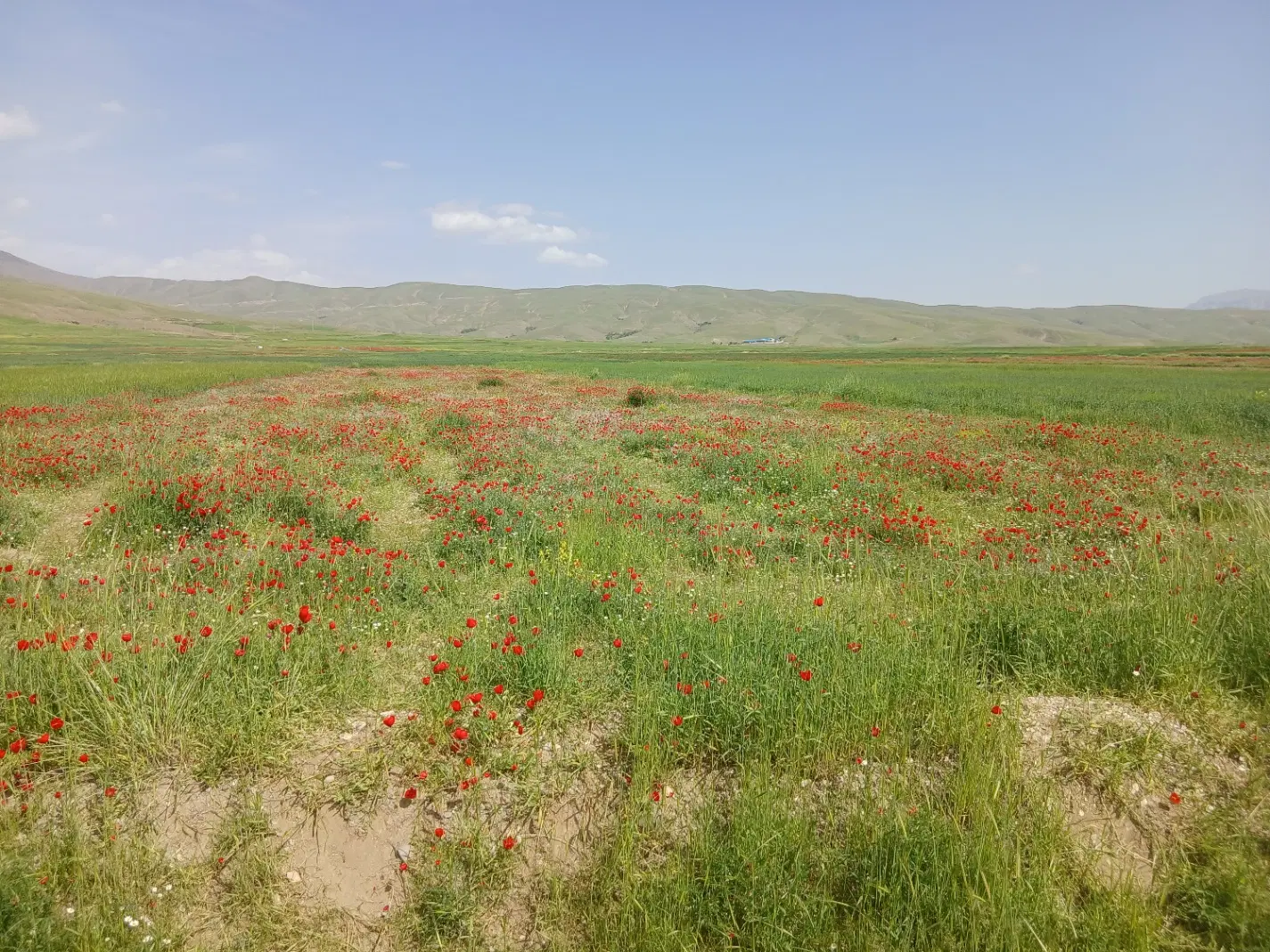 زمین شهرکی مسکونی