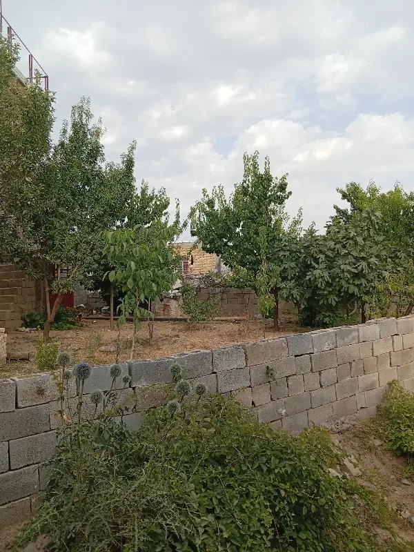 فروش زمین