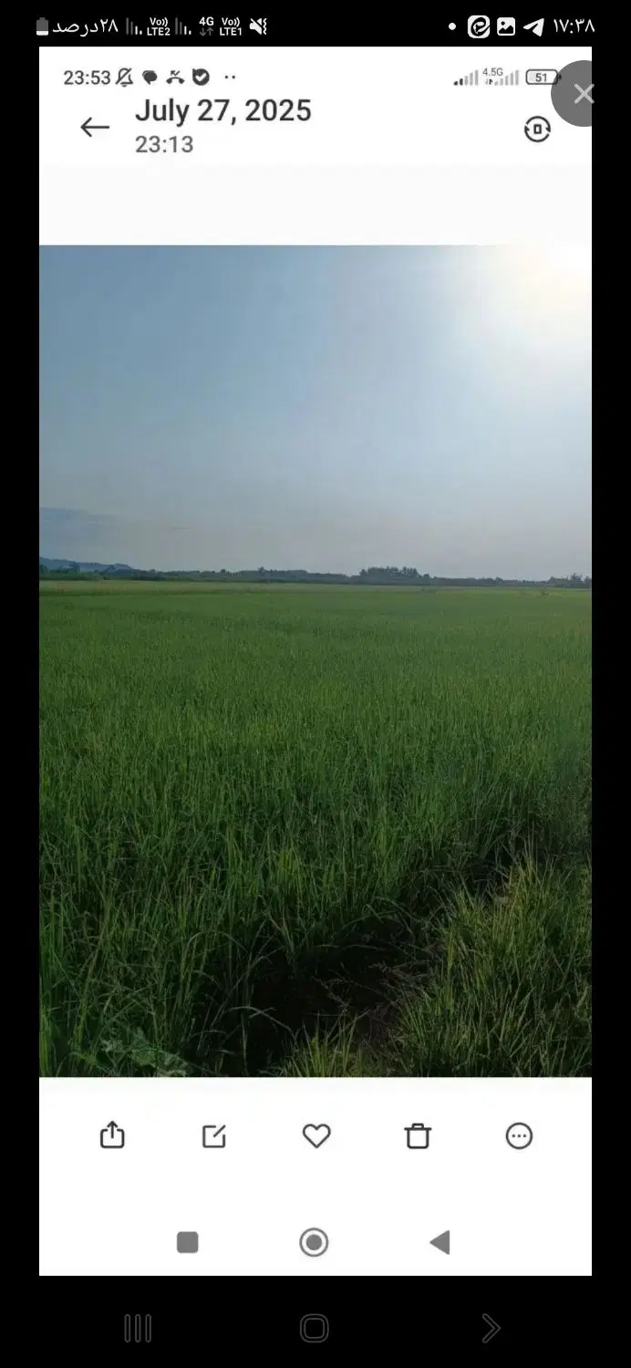 شالیزار مکانیزه