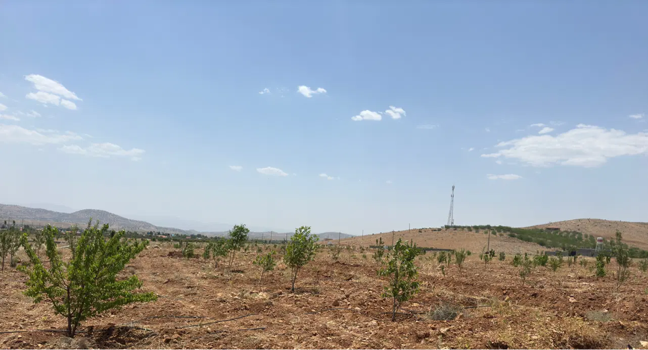 فروش زمین یا معاوضه با خودرو