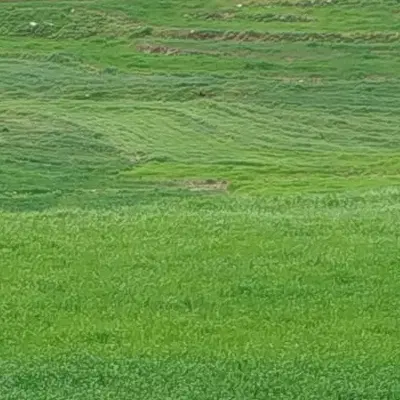 زمین مسکونی  سرابتاوه خلیج ۱۰