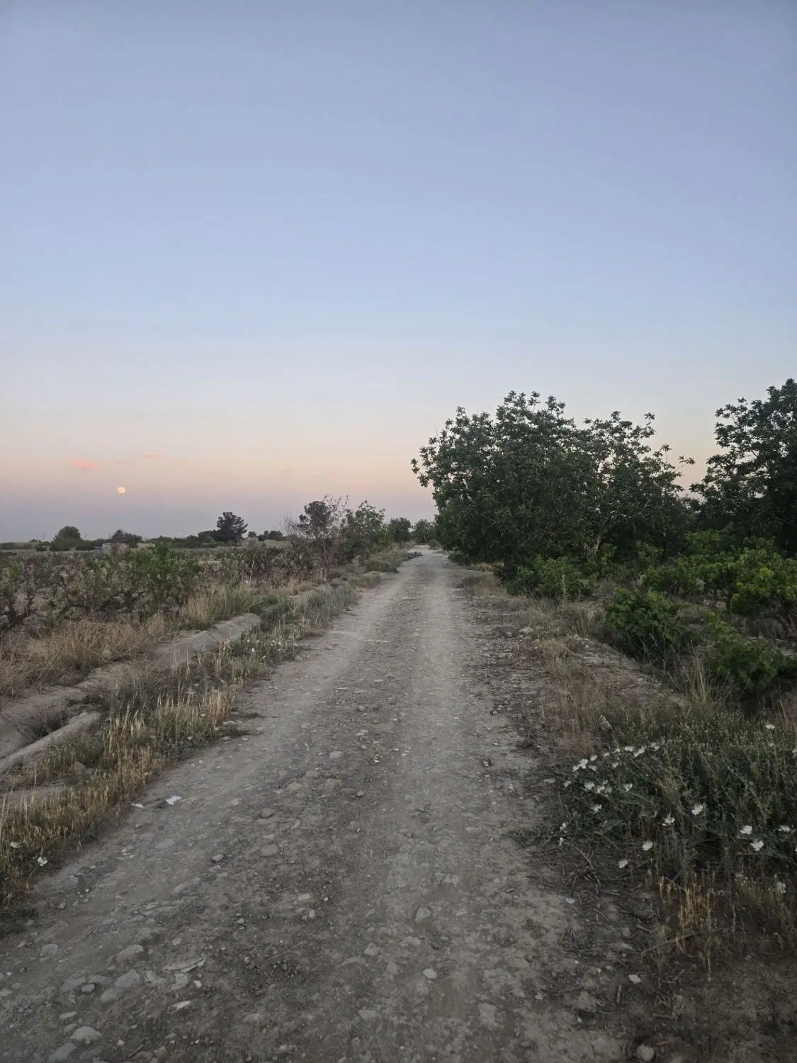زمین سنددار ۳۰۰متری