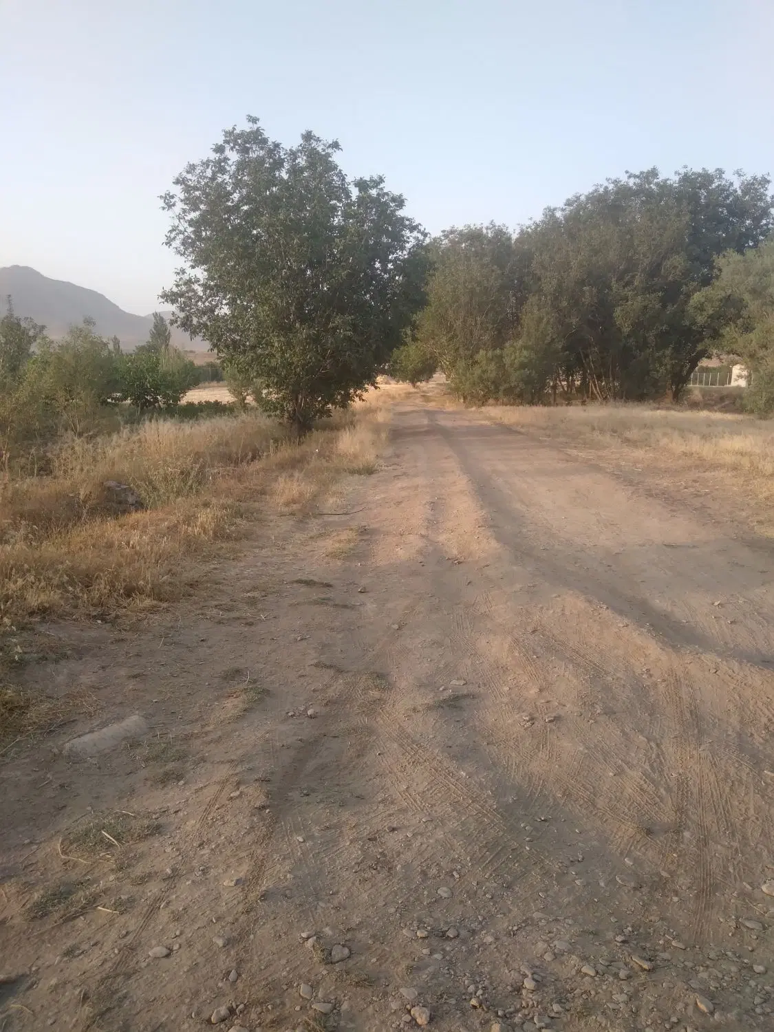 ۳۵۰متر زمین کشاورزی در گوار