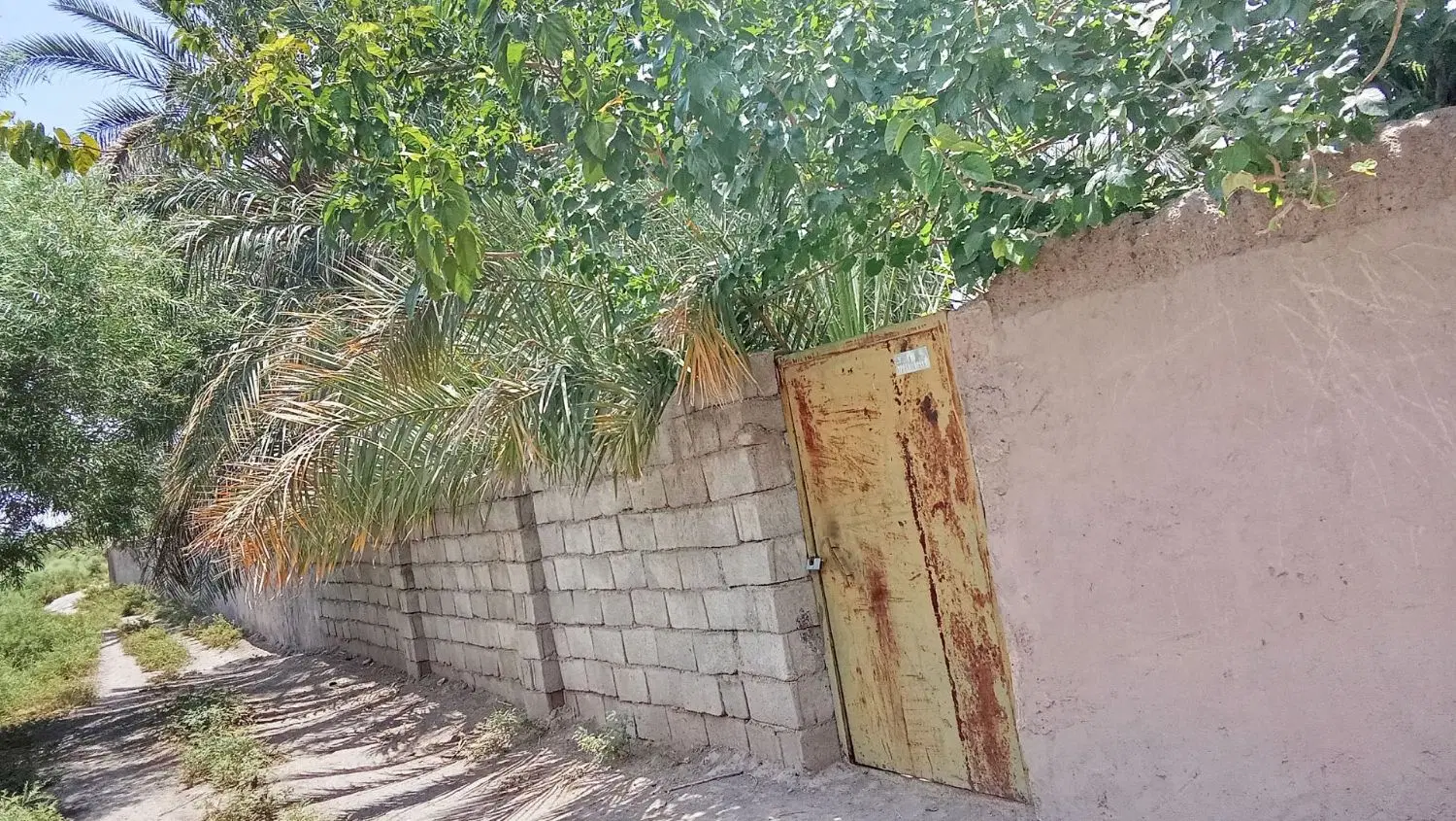 باغ فروشی روستا خواجه عسکر