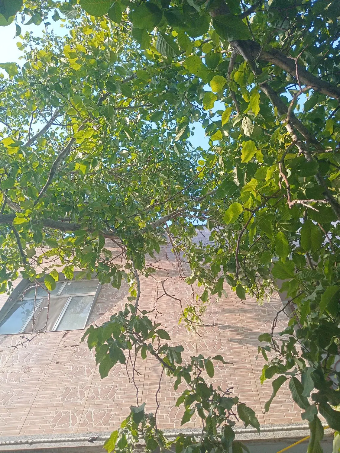 املاک