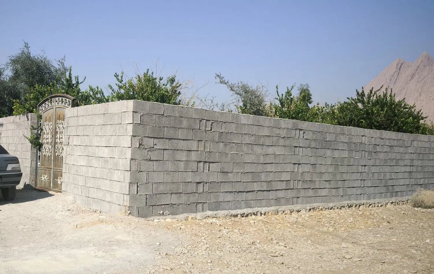 باغ لیمو
