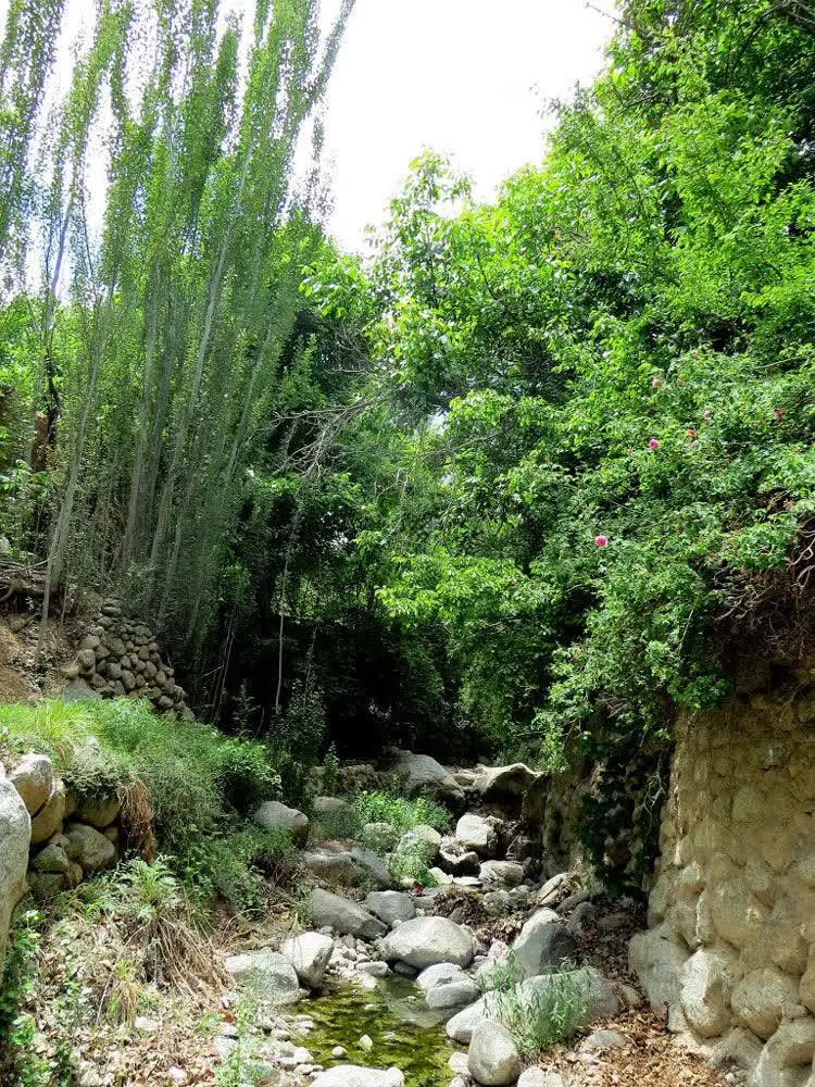 زمین بنادک السادات