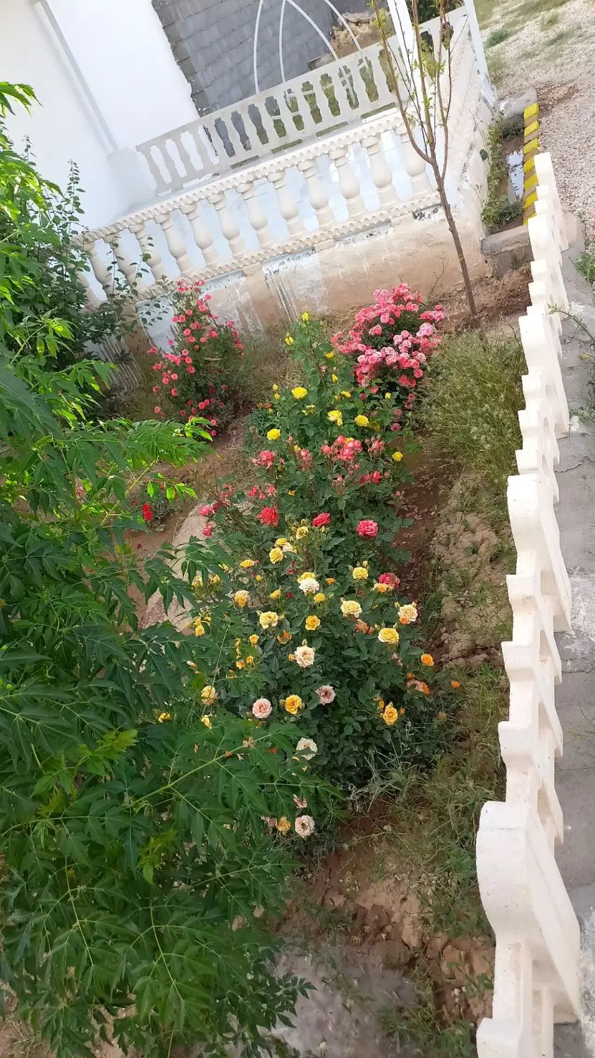 باغ ۵۰۰متری دور دیوار