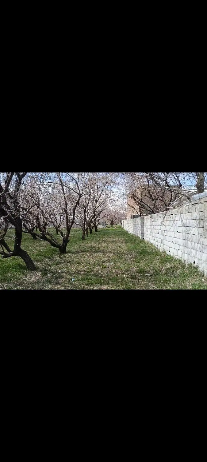 فروش زمین در ترکمان کوی صبا