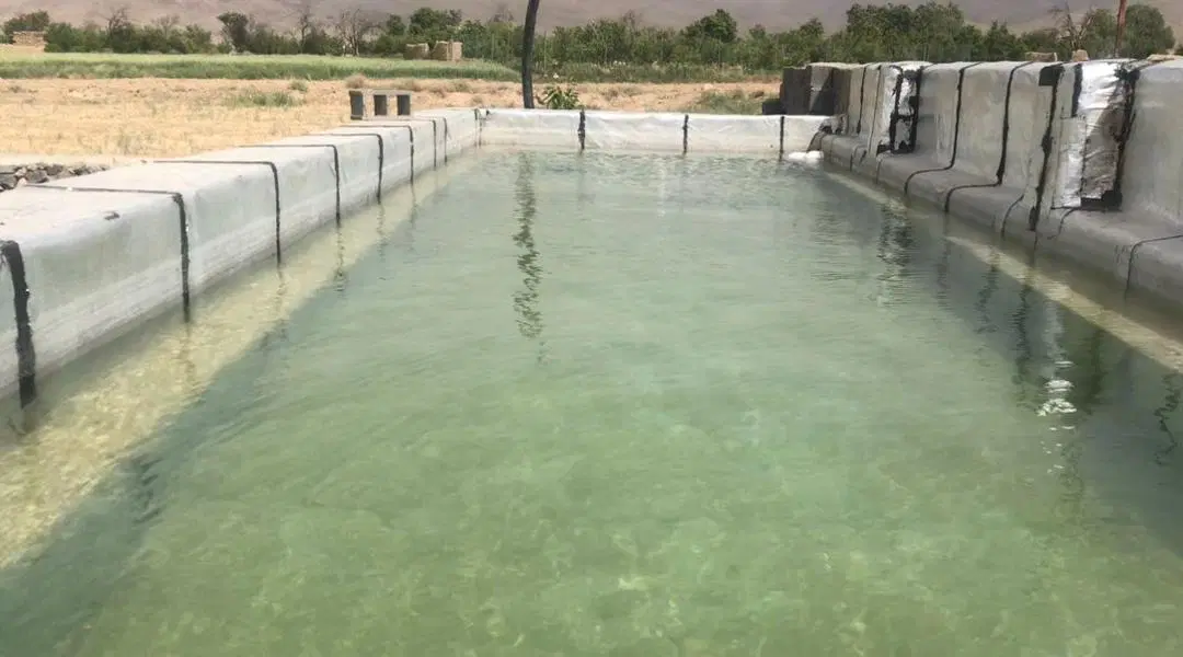 چهار دیواری و زمین کشاورزی