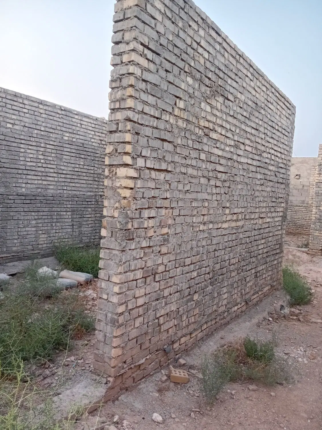 گمبوعه کوچک سیدهادی