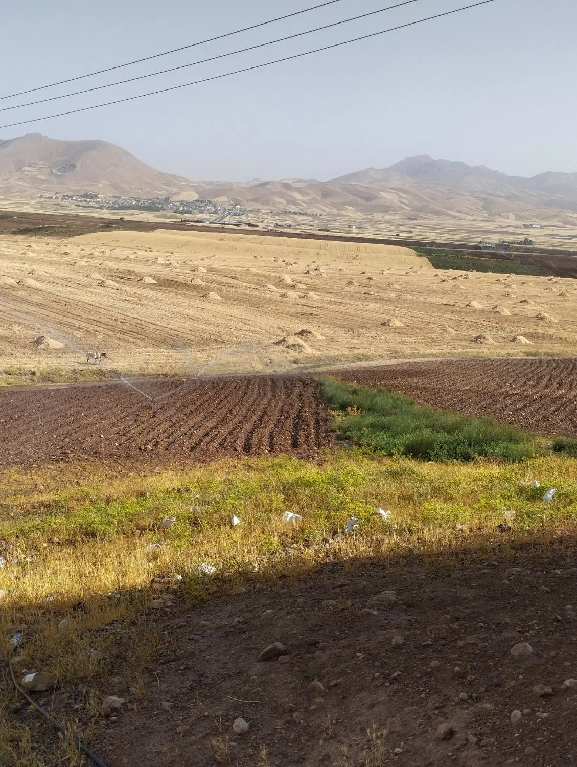 زمین دامداری قلعه سنگی