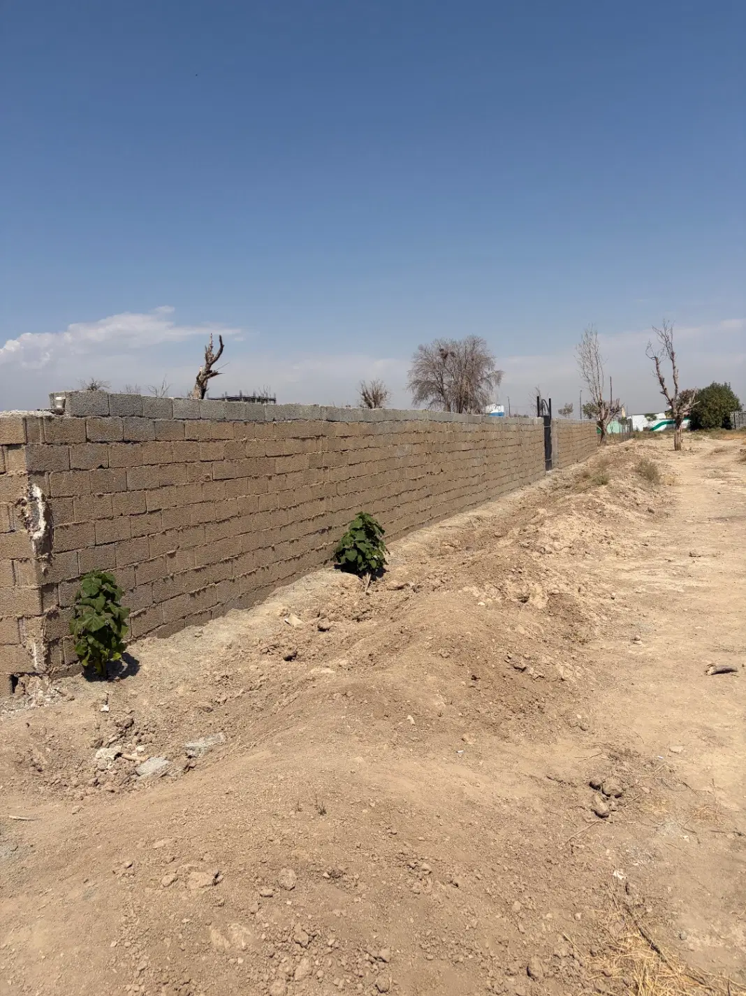 فروش زمین باغی در شاطره