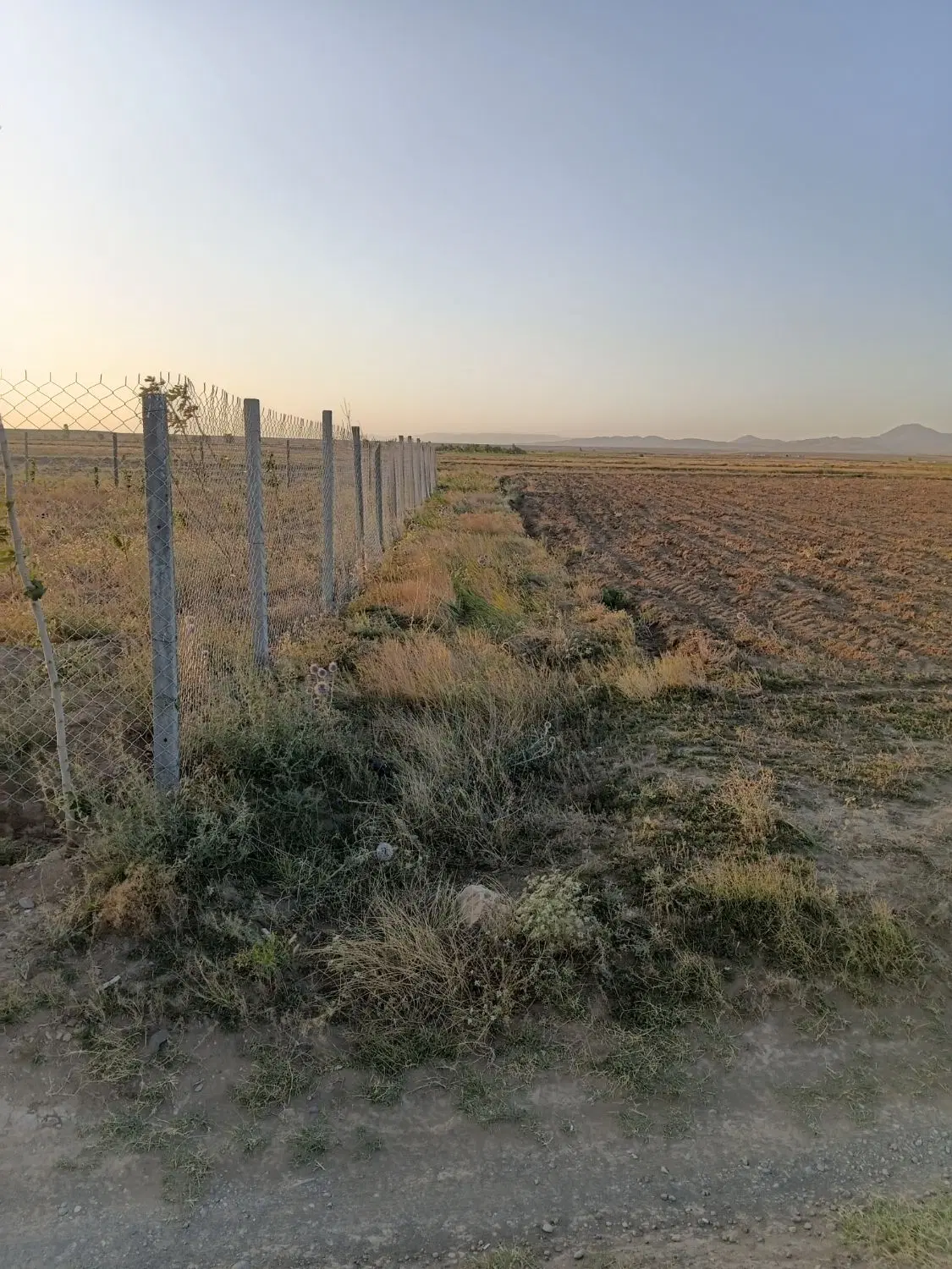زمین کشاورزی و باغی در روستای نوشنق 7000متر