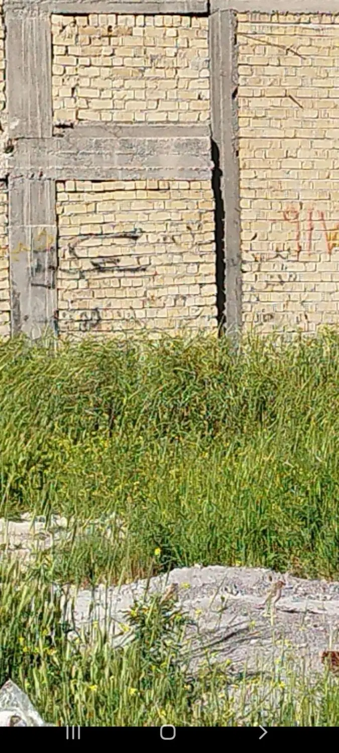 زمین مسکونی