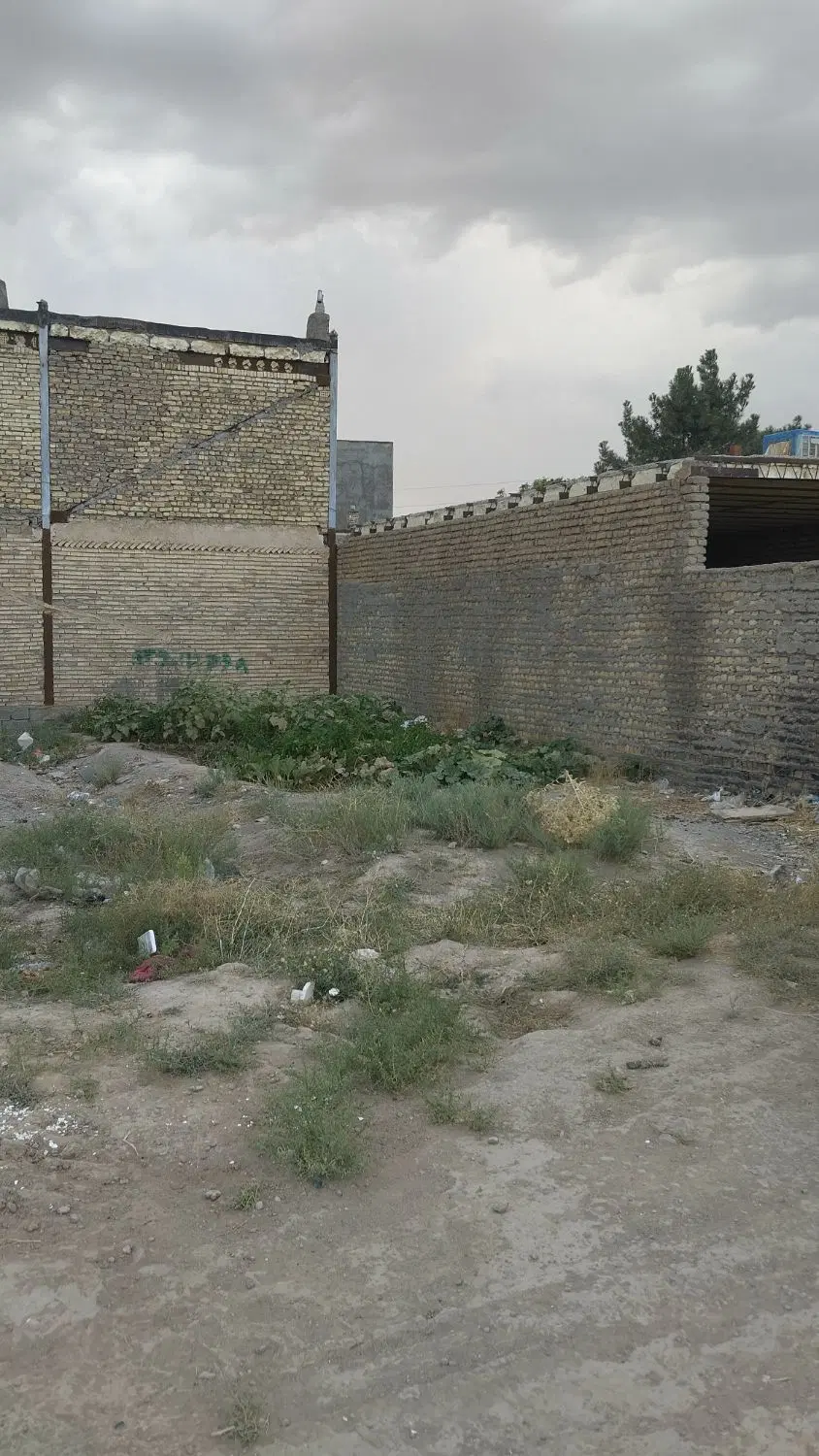 زمین