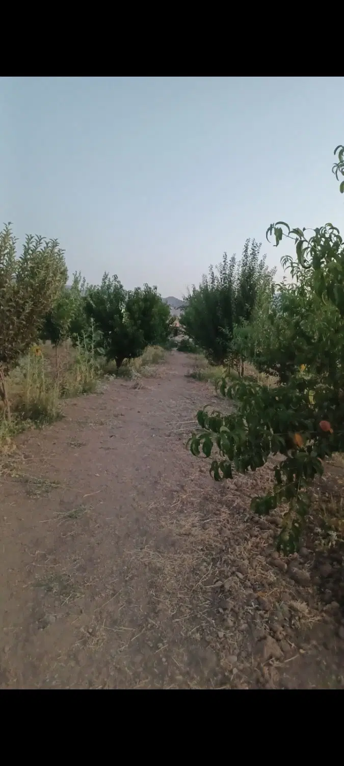باغ اماده سیمین زاغه