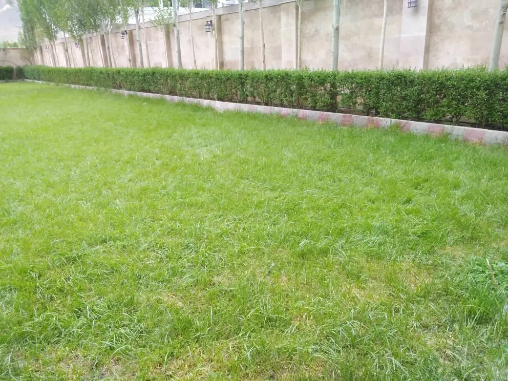 1000 متر حصار سعید اباد