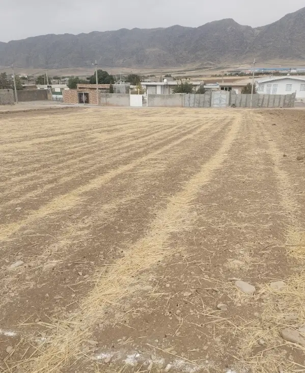 ۶۰۰ متر زمین مسکونی کمالوند سرچاه