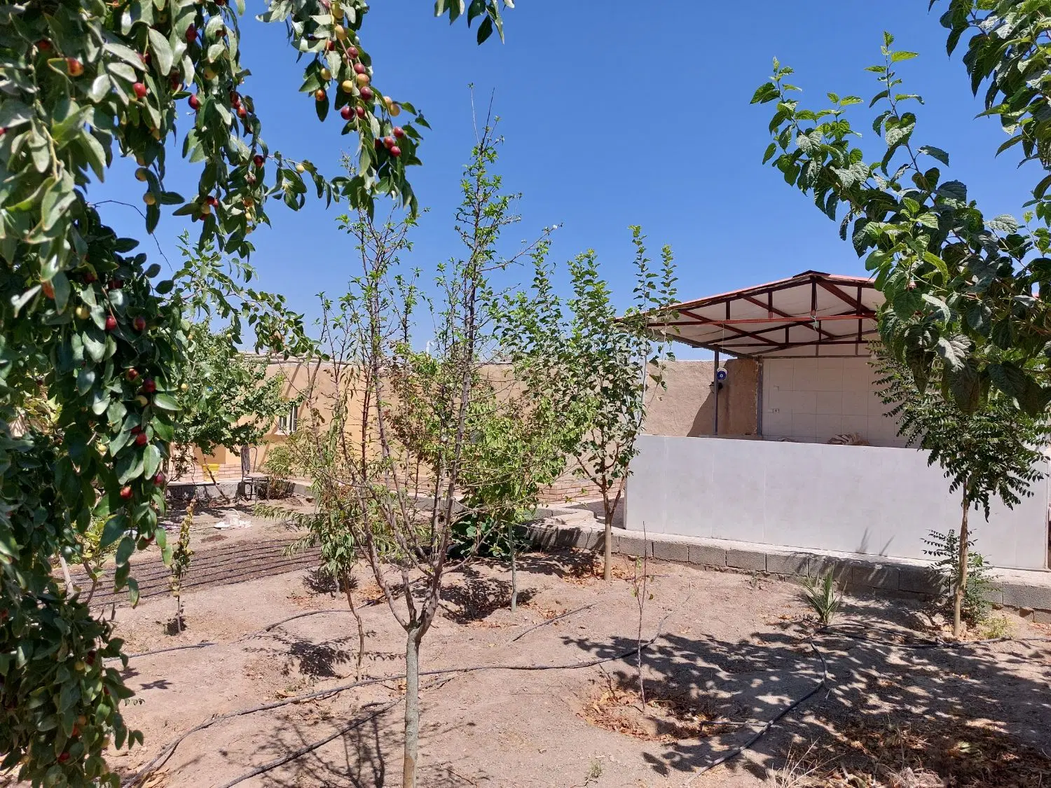 باغ شهری ناژوان