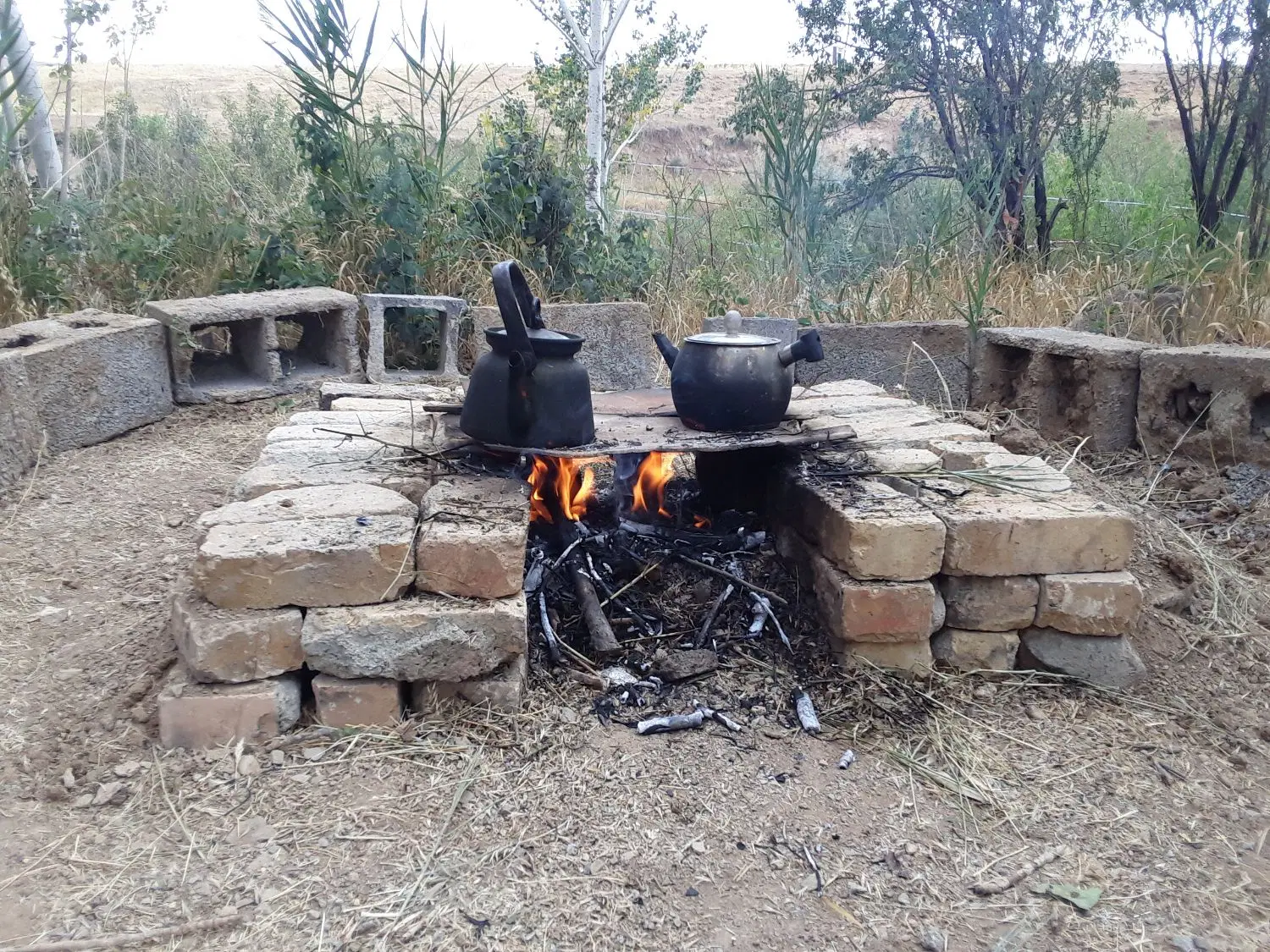 باغ ۱۰ هزار متری، متری ۳۵۵ هزار تومان