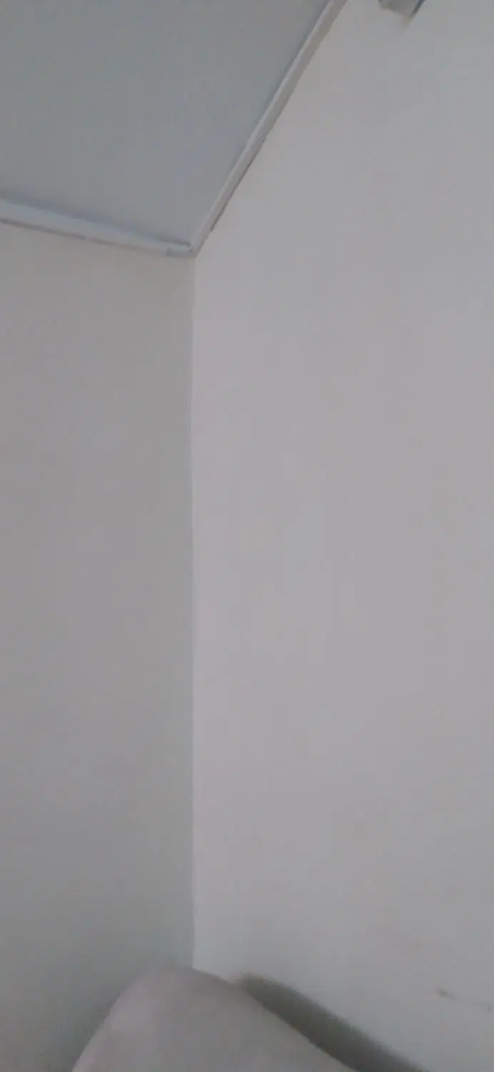 همخونه خانم