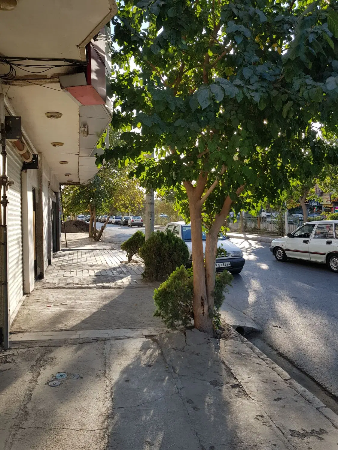 رهن و اجاره مغازه . تجاری