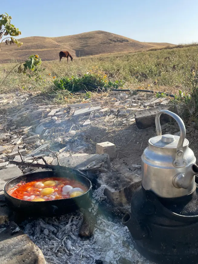 ویلا باغ