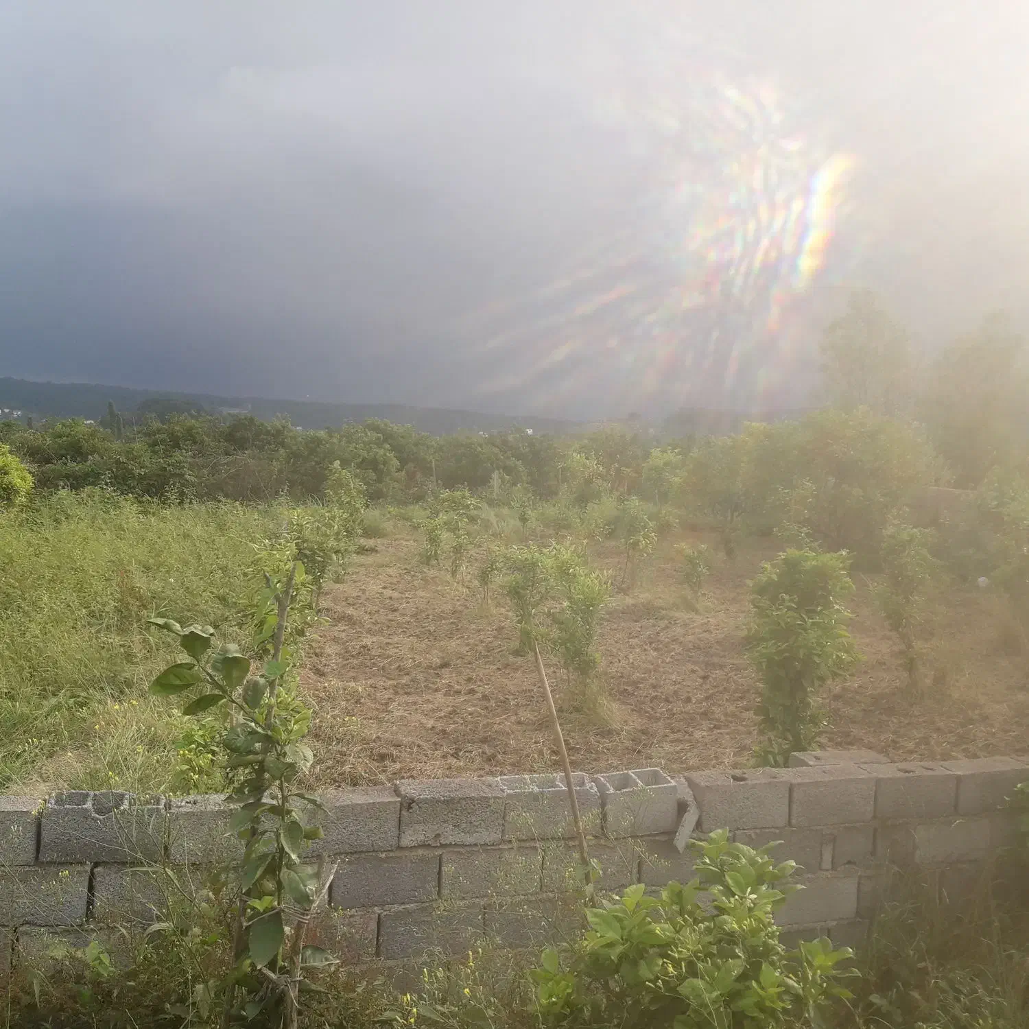 زمین ۲۵۱ متری خوش نقشه