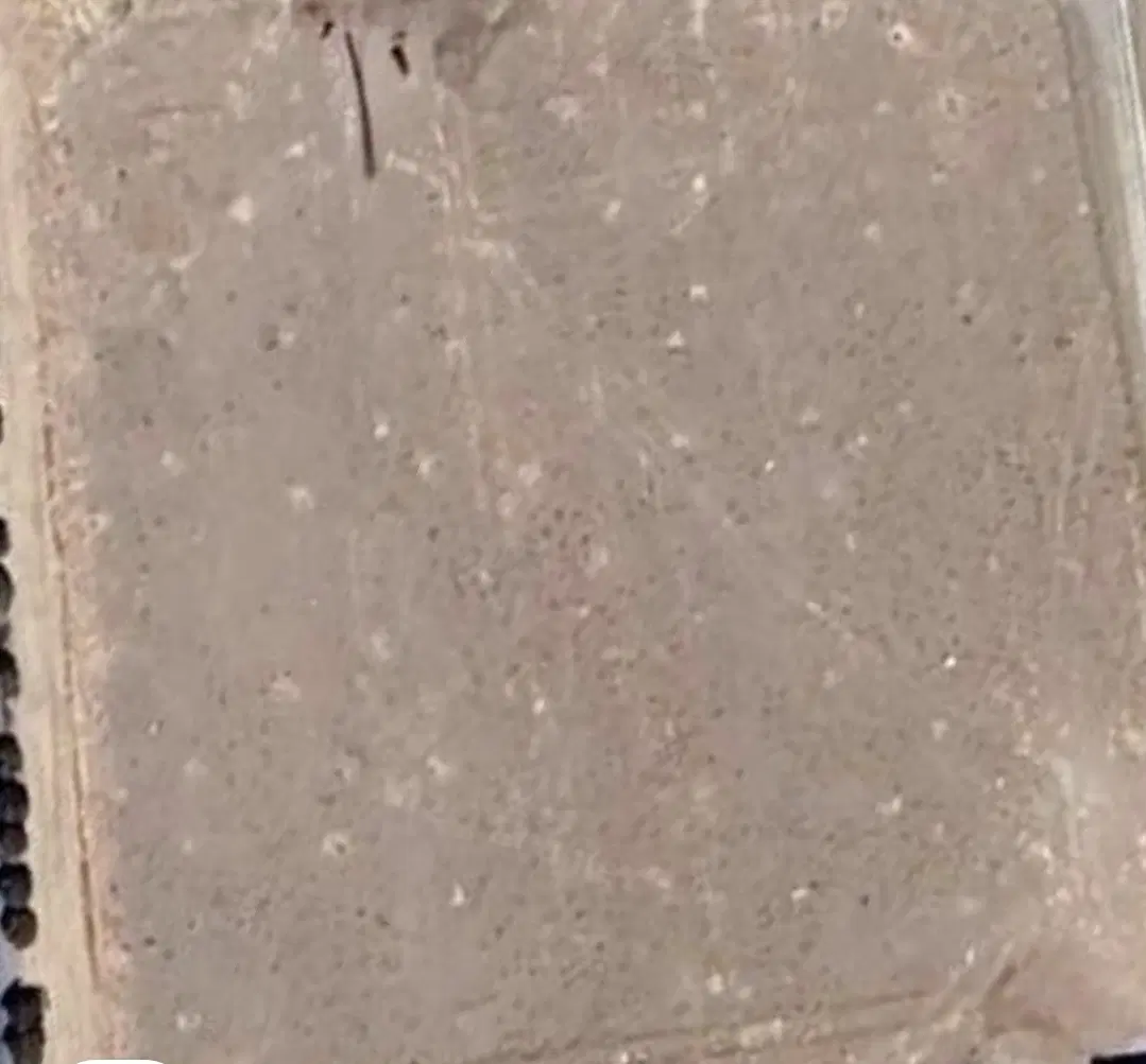 زمین گلدشت۷۱