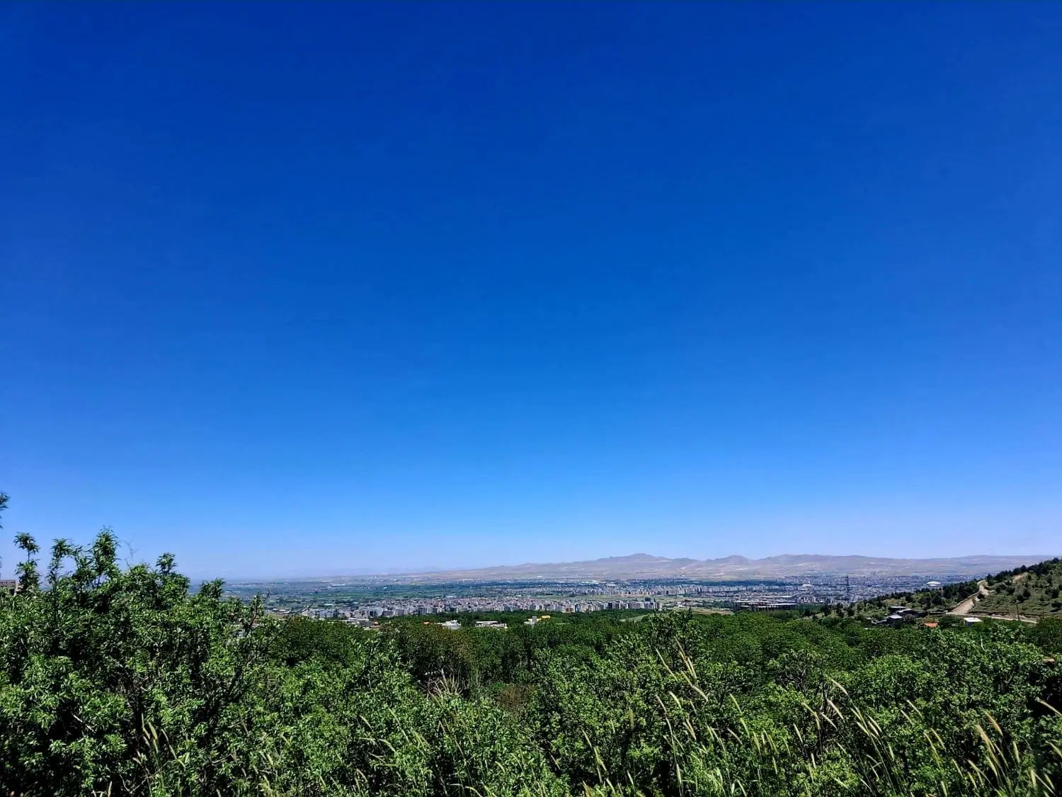 زمین مسکونی گلباغچه
