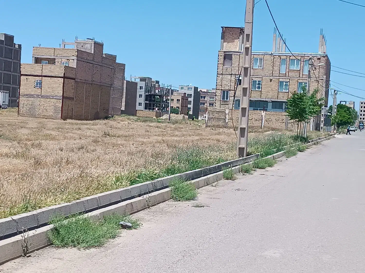 زمین