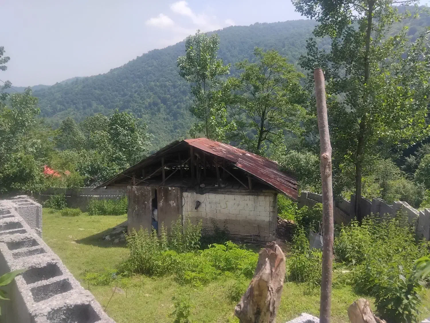 زمین سند تک برگ ۳۷۱ متر