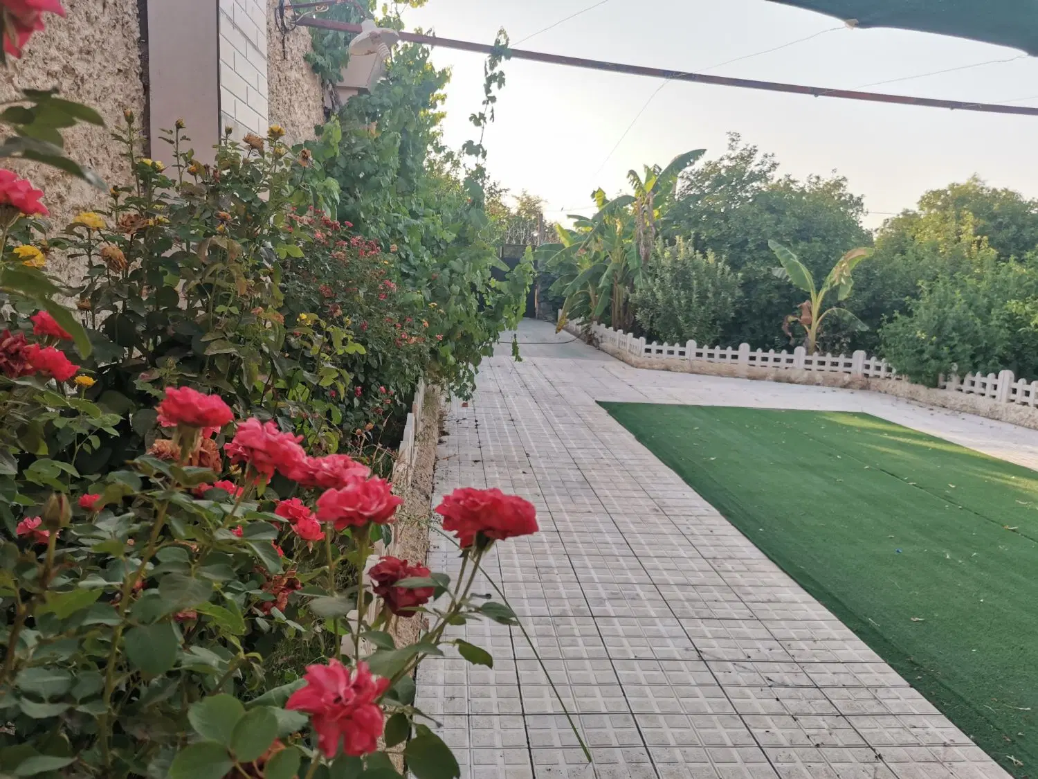 ویلا باغ