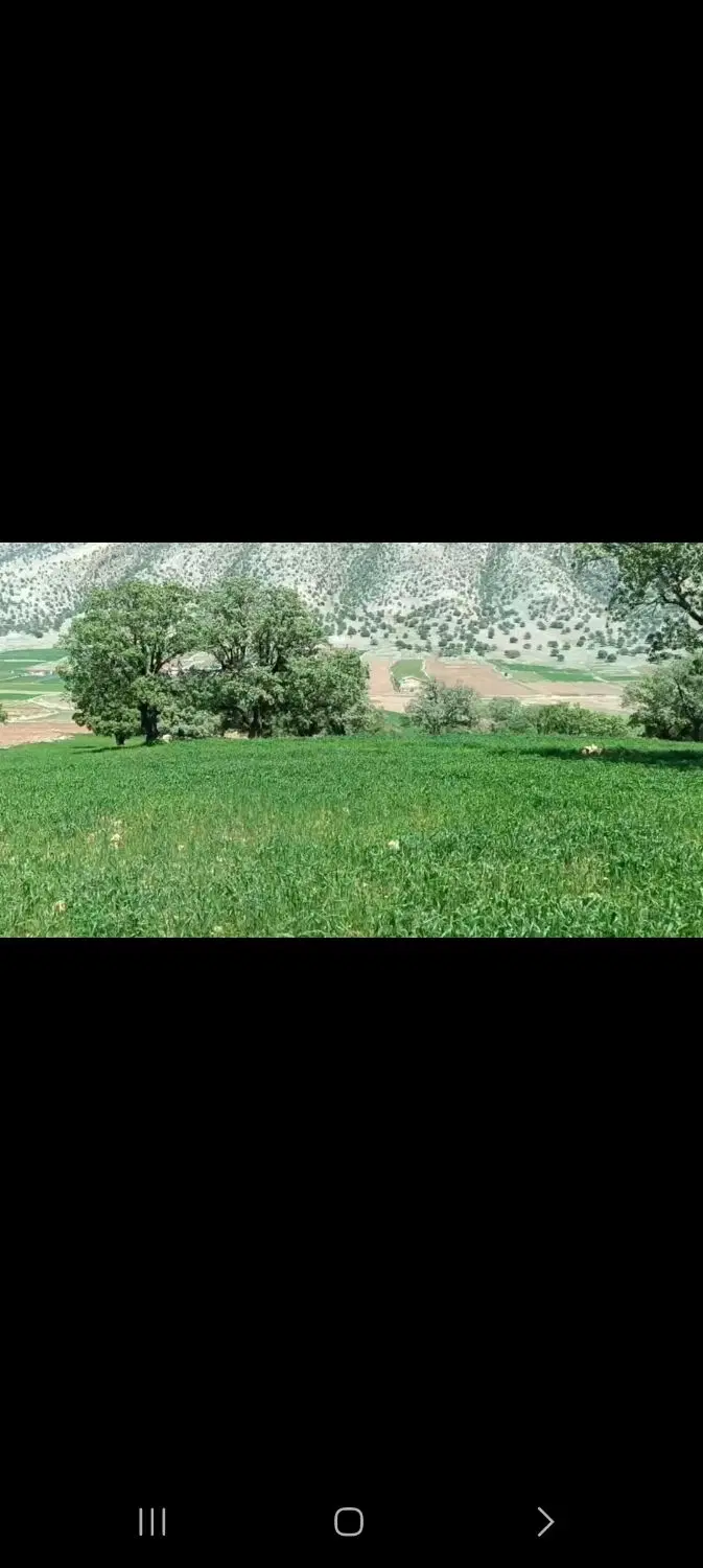 زمین کشاورزی