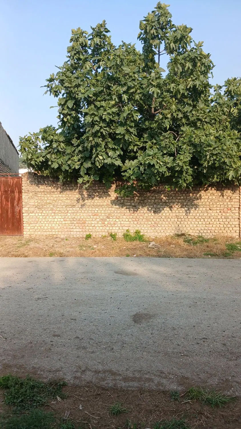 فروش زمین روستای سیدمیران