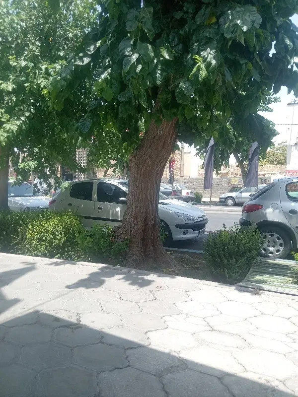 90 متر انبار بر ابن سینا