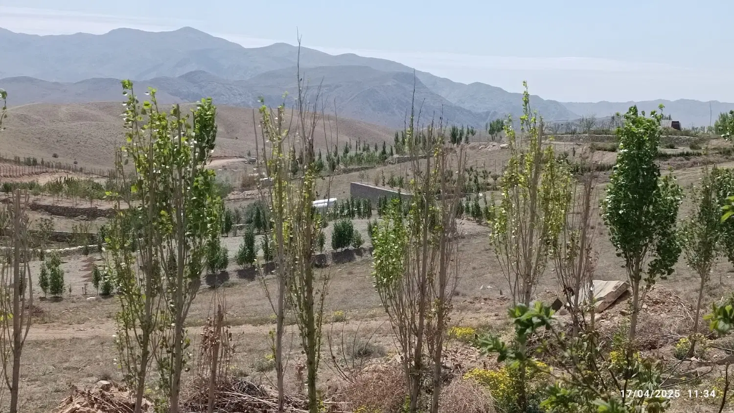 شهرک تماشا زمین باغی