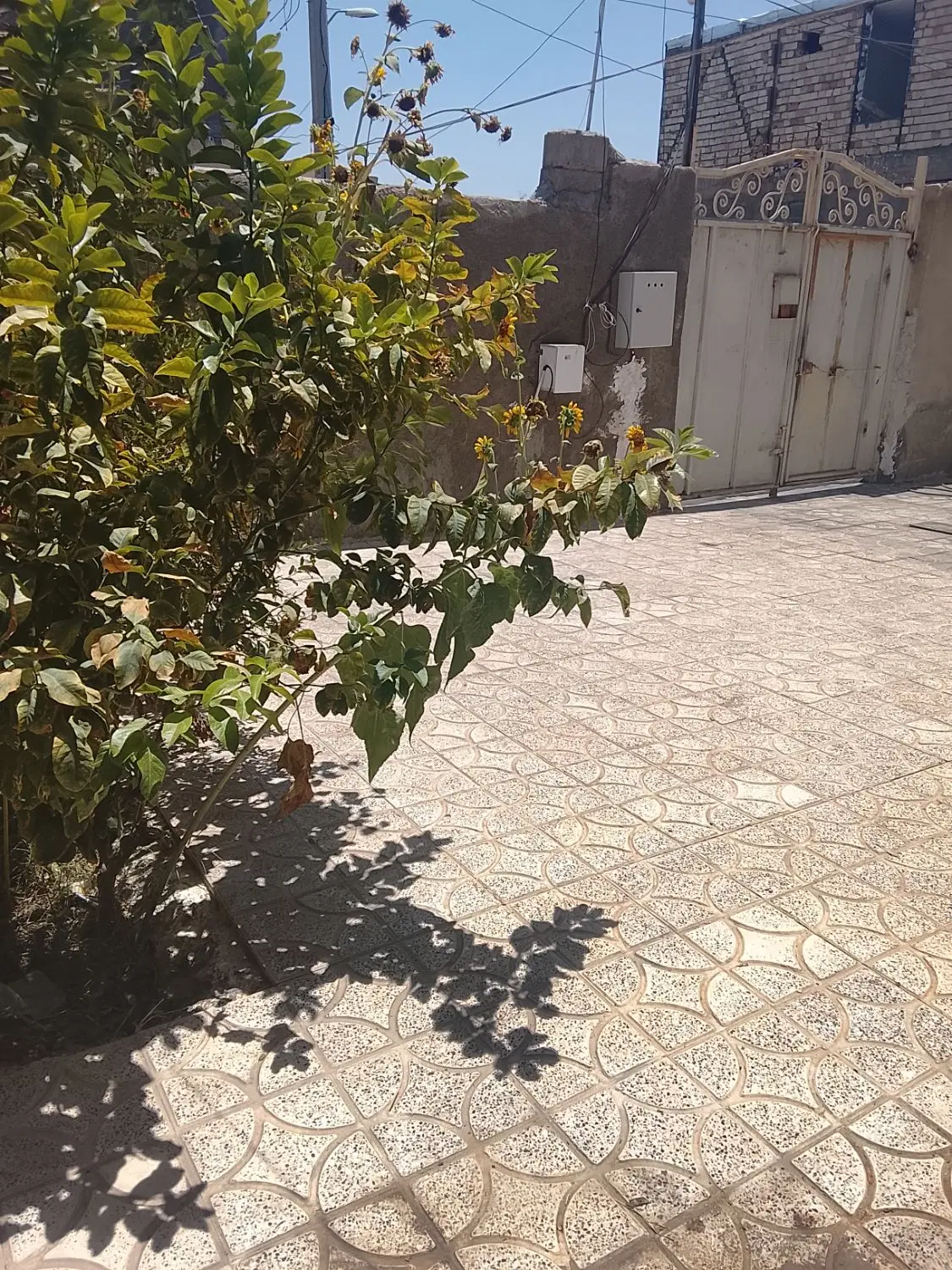 واحد 90متری دو خواب همکف حیاط مشترک