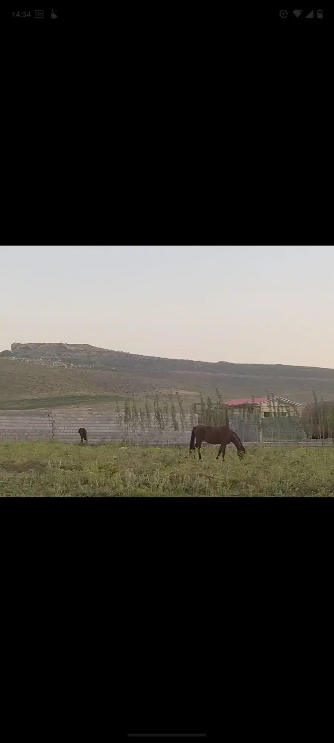 زمین باغ ویلا