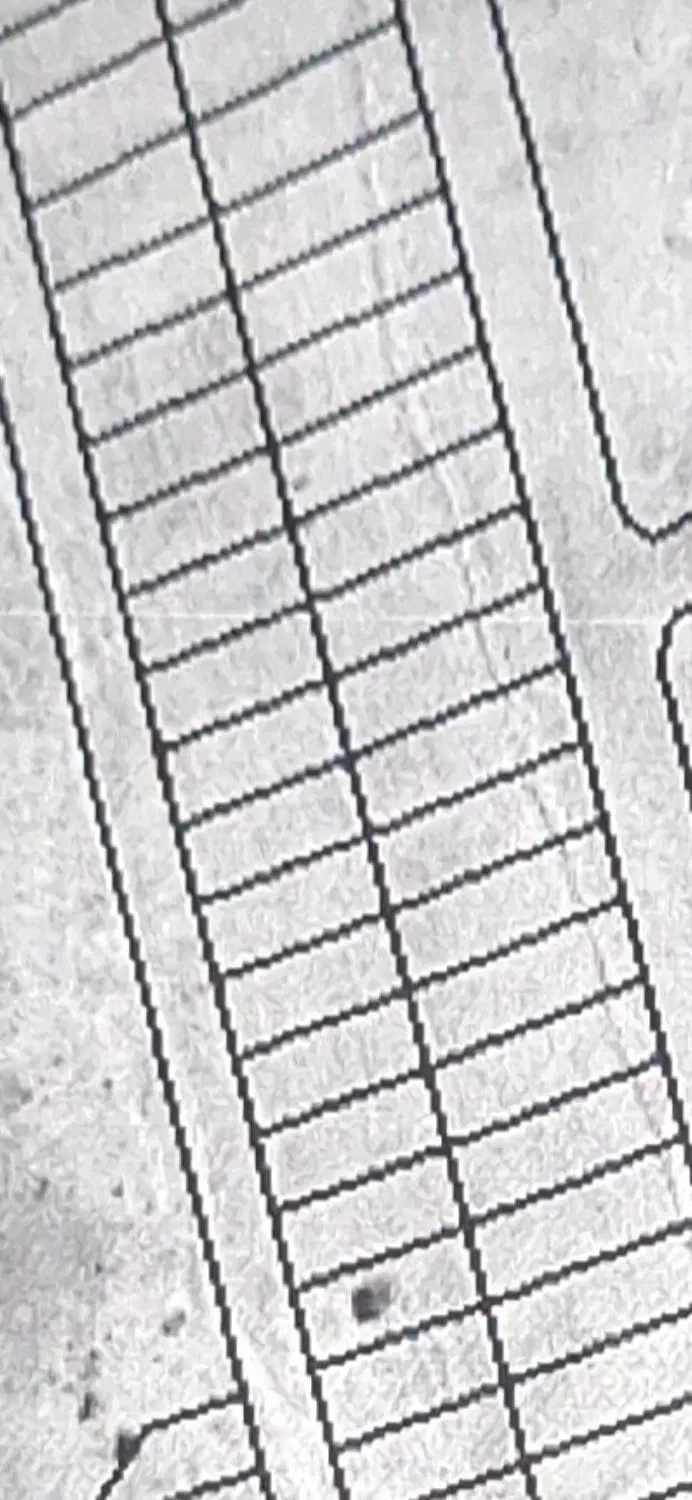 زمین