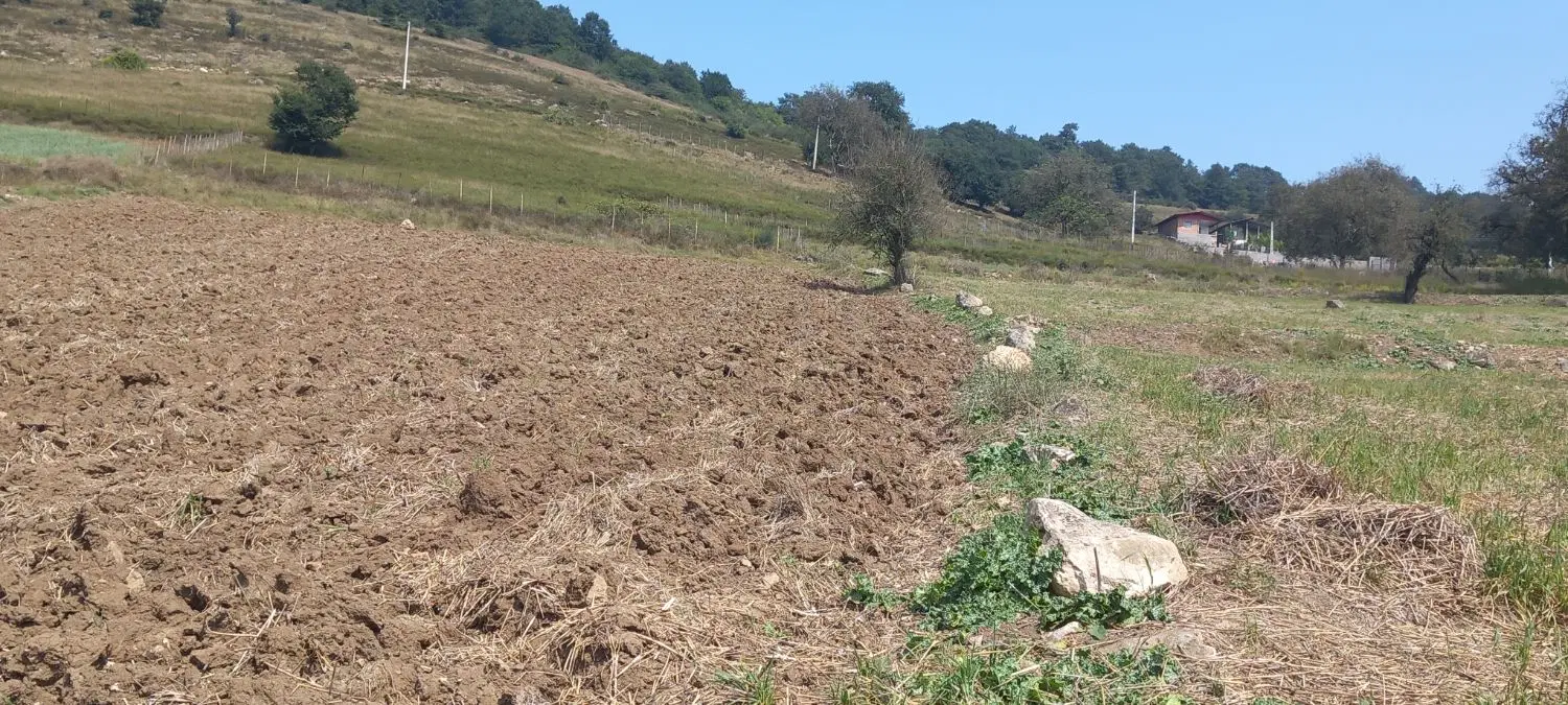 فروش زمین روستای پرا ساری