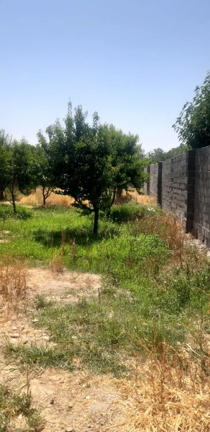 فروش زمین