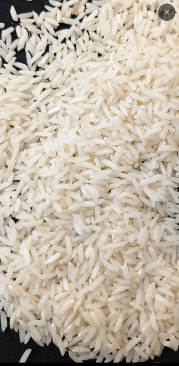 زمین بیجار هاشمی