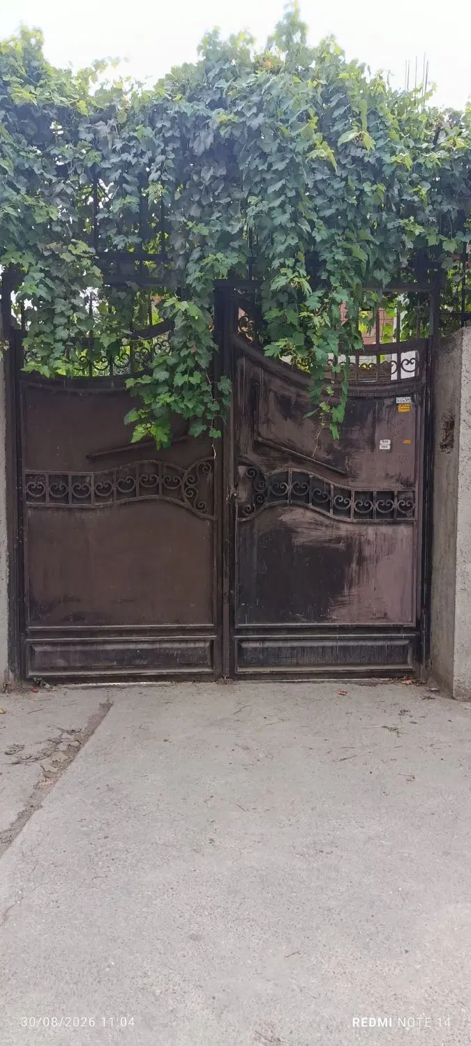 سوییت دربست