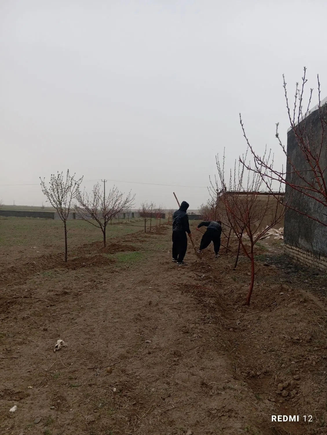 زمین 2400 متر خیر آباد داخل طرح هادی