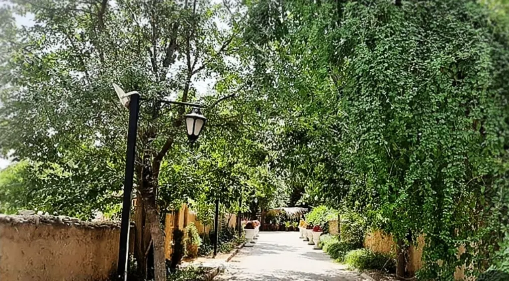 فروش باغ  کنار جوب بلد باغستان علیا